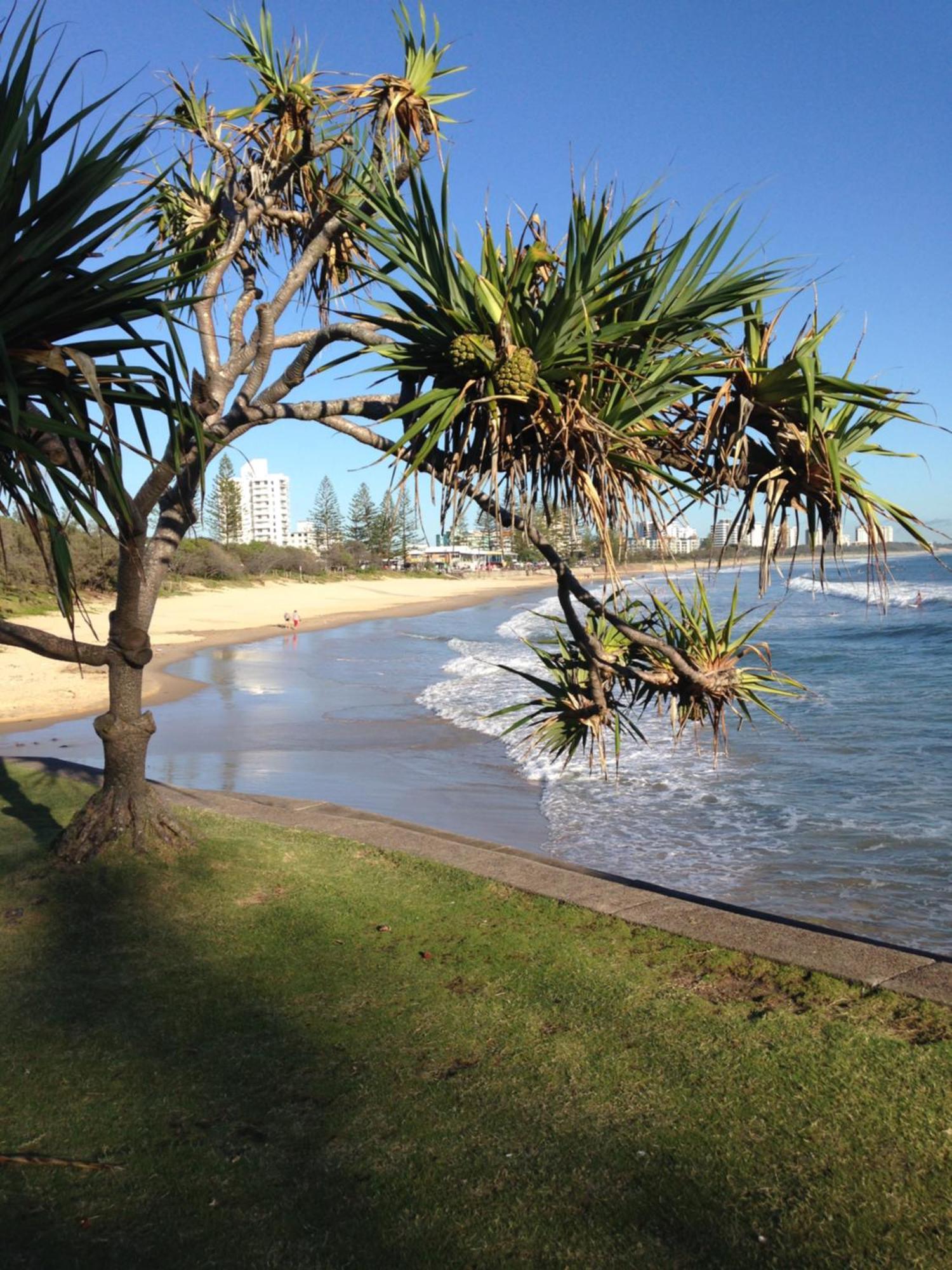Resort Grand Palais Boolarong Beachside Alexandra Headland